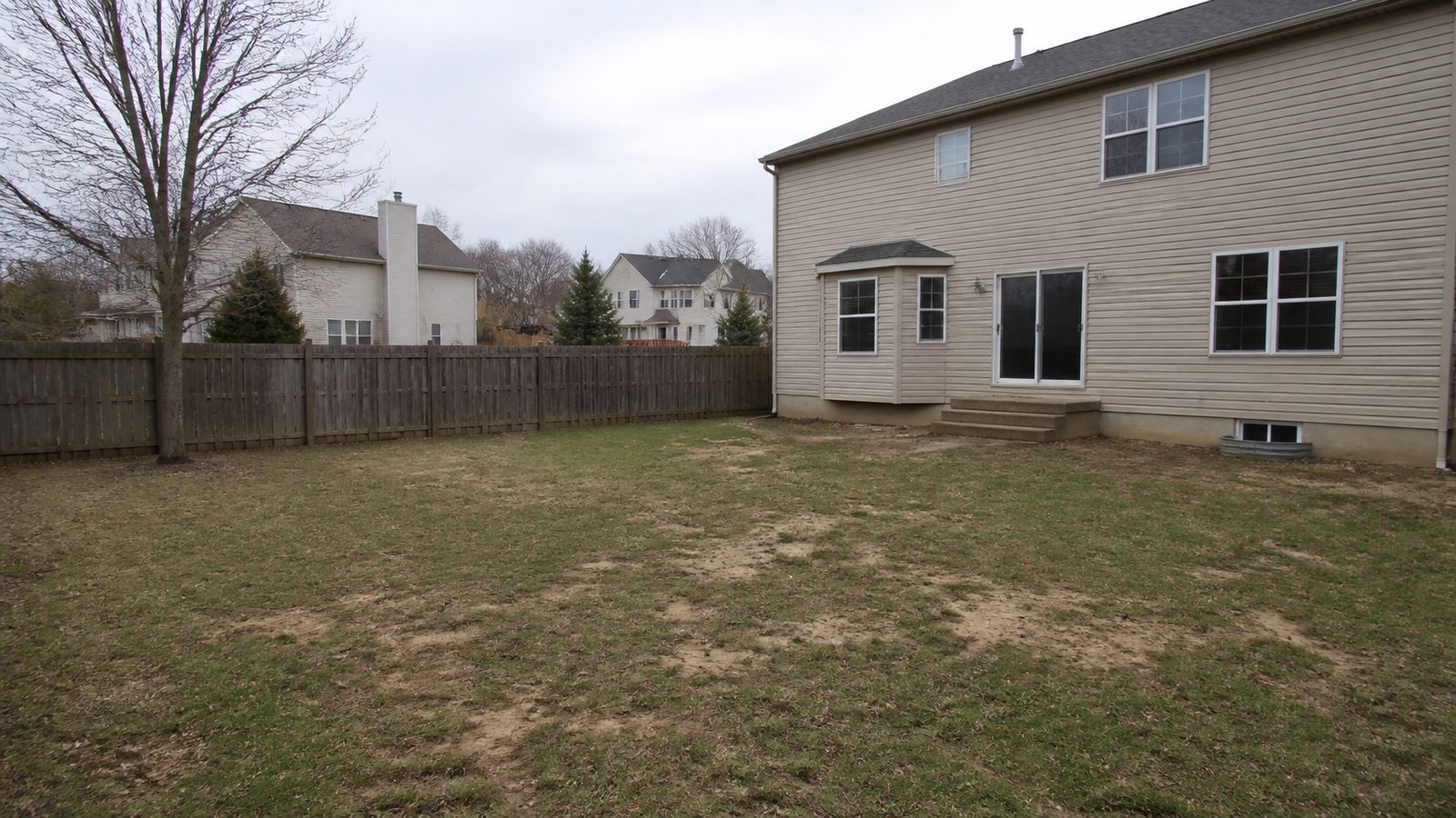 Bare suburban backyard, patchy lawn, no landscaping, overcast BEFORE shot, same angle